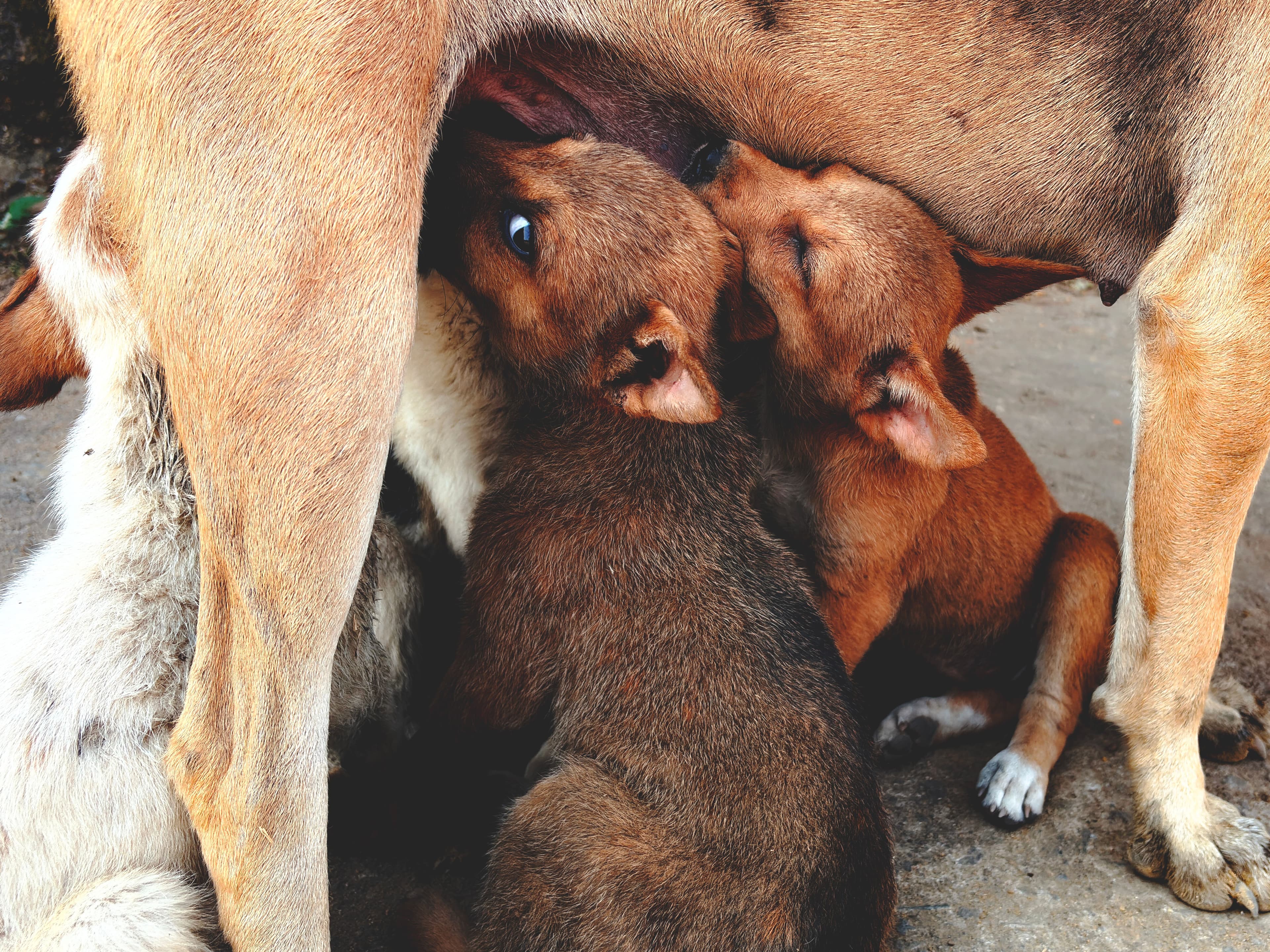 Rescue February 2026